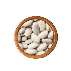 FAVA BRANCA
